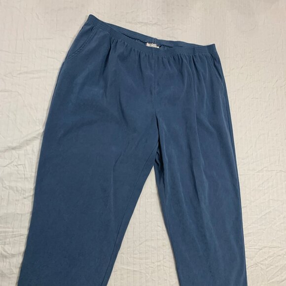 ๐ฆ MAGGIE BARNES WOMENS PANTS SIZE 24WP PETITE ๐ฆ - Picture 1 of 6